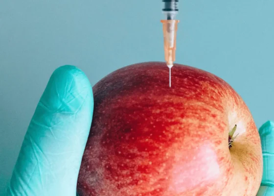 a hand wearing blue medical gloves holding an apple, with a needle in the apple